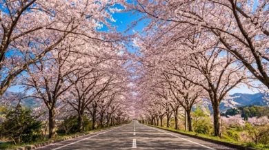 花博会場昔は何